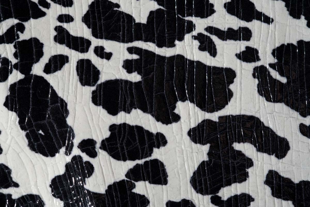 Cow Crak Flash 1