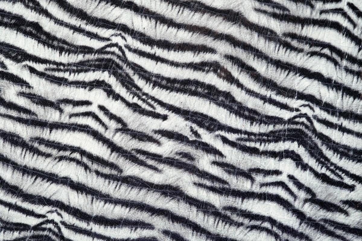 Zebra Crack Flash Fm 1