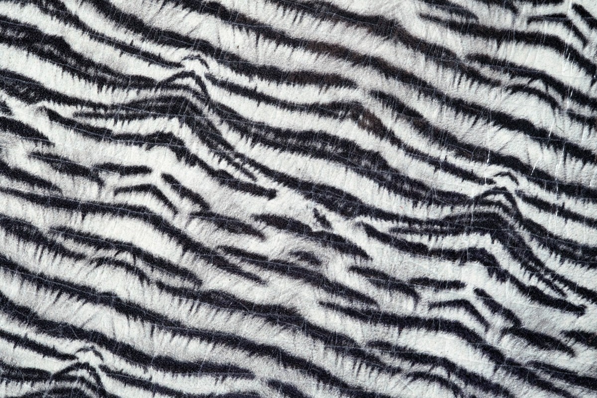 Zebra Crack Flash Fm 1