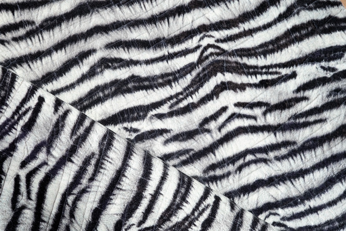 Zebra Crack Flash Fm 2