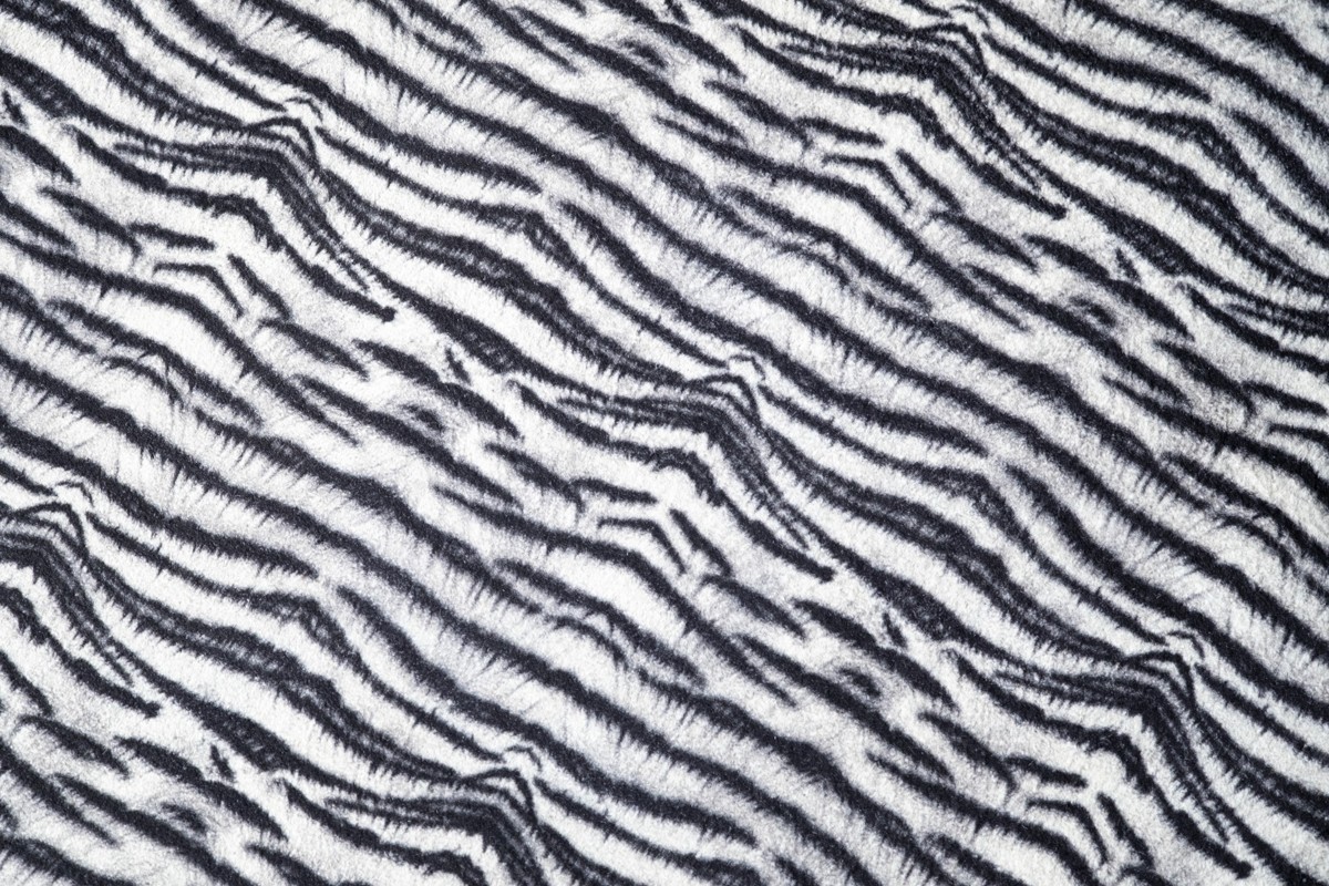 Zebra Flash Fm 1