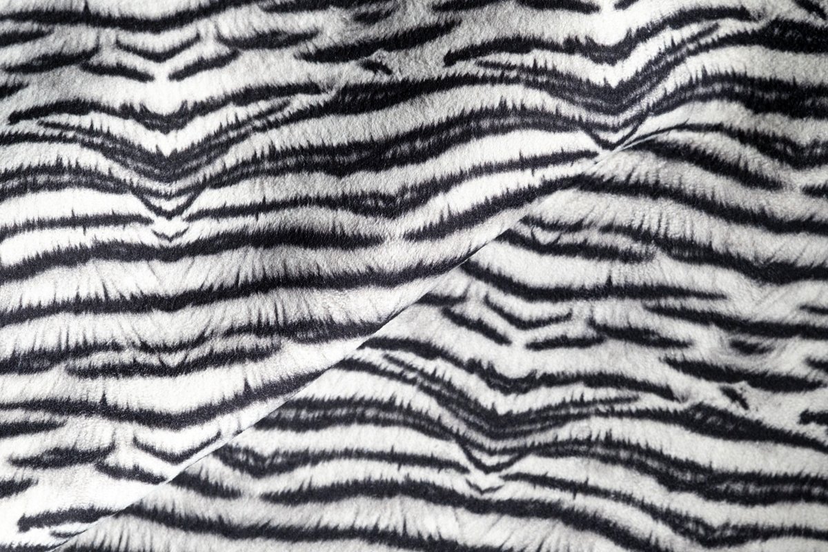 Zebra Flash Fm 6