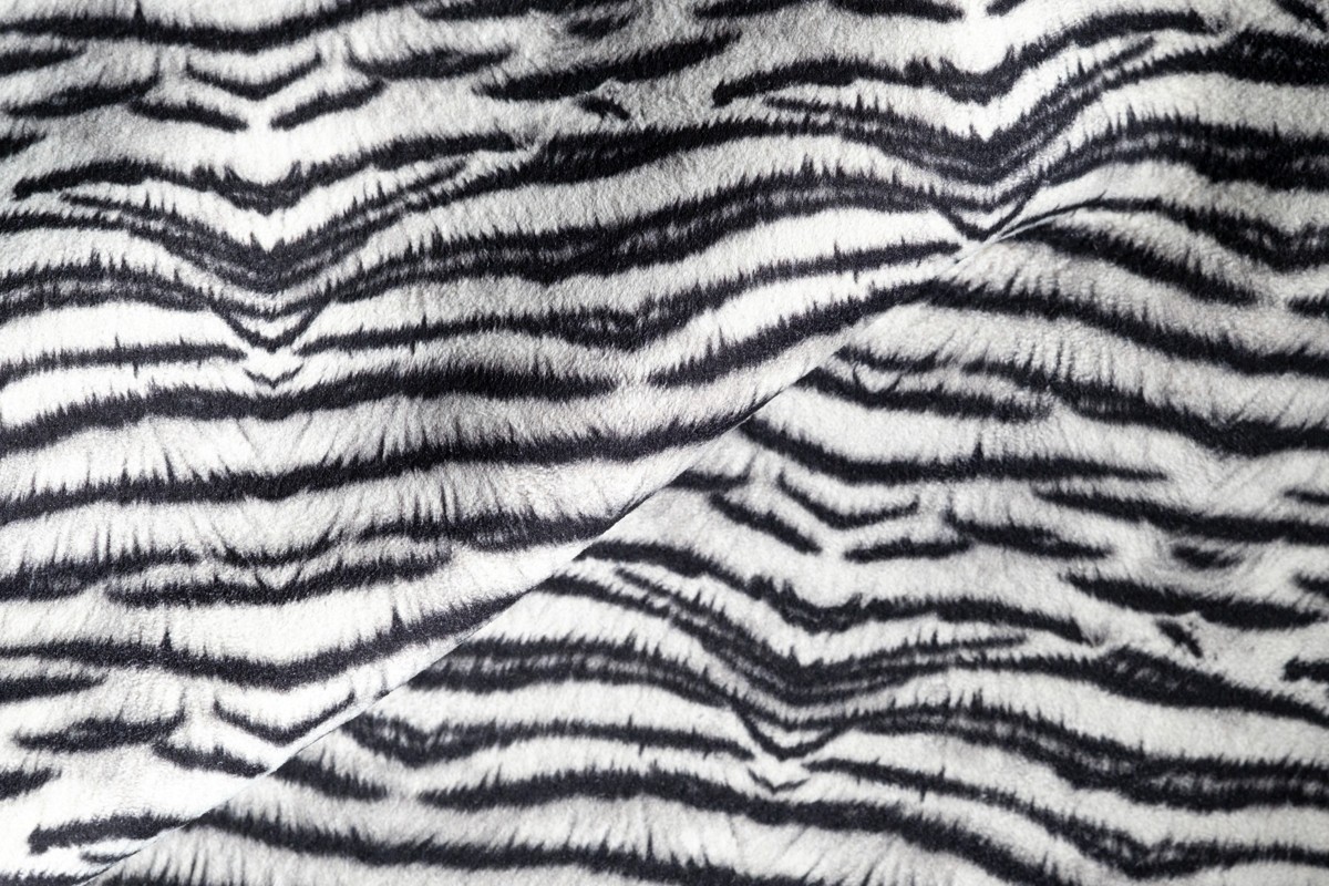 Zebra Flash Fm 6
