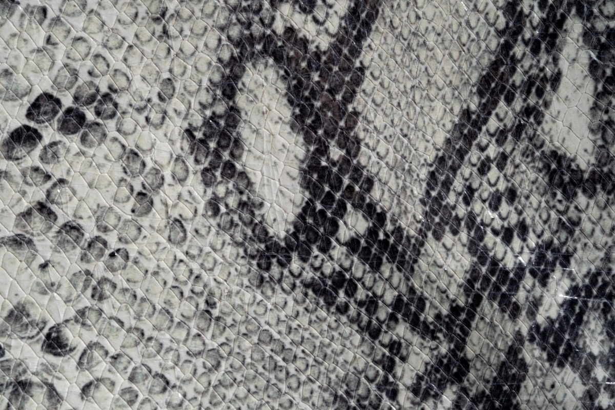 Snake Fm