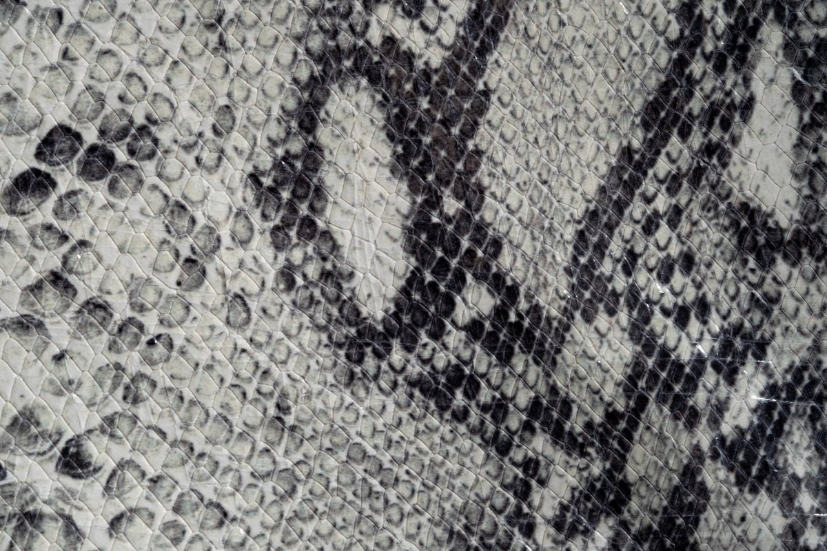 Snake Fm