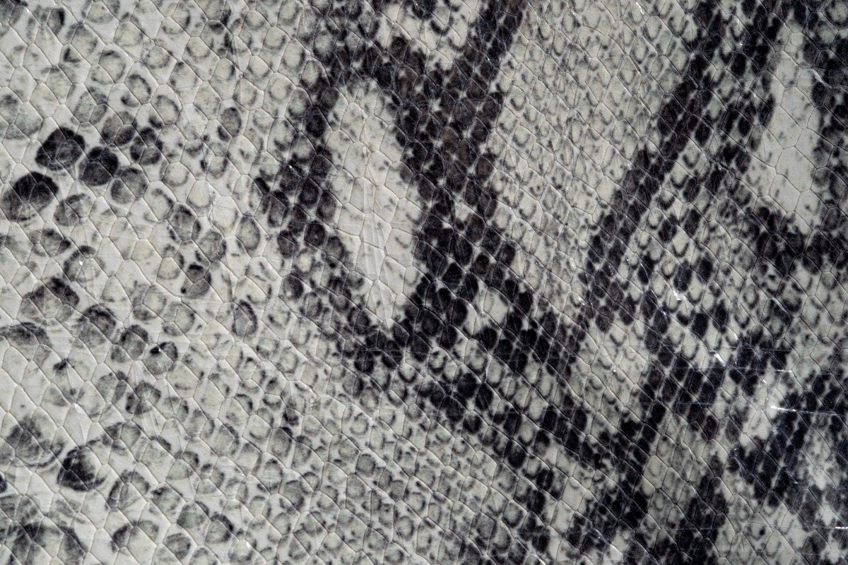 Snake Fm